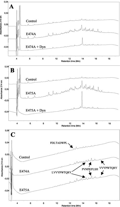 Hplc Chromatograms Showing The Rat Brain Peptides Arrested By Inactive