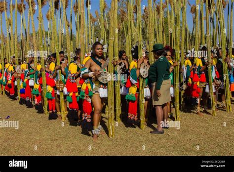 Umhlanga O Reed Dance Una Ceremonia Anual En Eswatini Ex Swazilandia