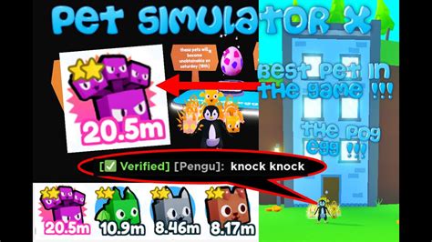 HOW TO GET THE POG CAT AND THE SECRET POG EGG Pet Simulator X