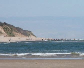 Wellfleet, MA Webcams - Live Beaches