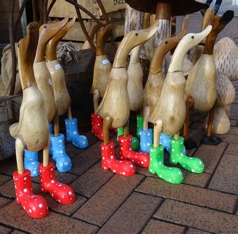 Ducks In Wellington Boots Free Stock Photo Public Domain Pictures