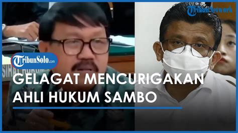 JPU Curigai Gelagat Ahli Hukum Kubu Ferdy Sambo Baca Contekan Saat