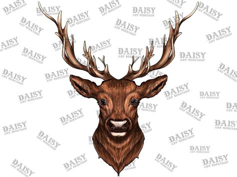 Deer Portrait Png Sublimation Design Hand Drawn Deer Png Etsy