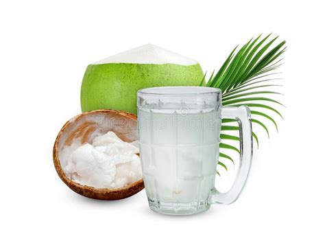 Coconut Milk Tropical Fruit Or Fluffy Coconut Cut In Half With Palm