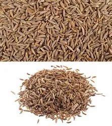 Rajeshree Agri Export Exporter Of Cumin Seeds Peanuts From Deesa