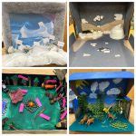 Habitat Dioramas St Mary S French Immersion