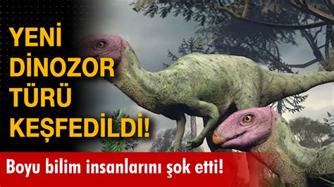 Yeni dinozor türü keşfedildi Dinazorların atası sayılıyor ve boyu