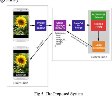 Figure 4 From Flower Species Recognition System Using Convolution