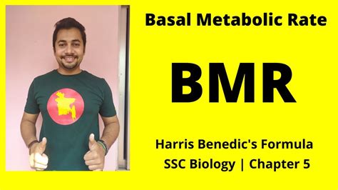 05 Bmr Harris Benedicts Formula Basal Metabolic Rate Food And