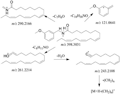 The Fragmentation Patterns Of N Methoxybenzyl Z Z