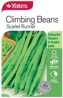 Seeds Beans Climbing Scarlet Runner Springvale Garden Centre