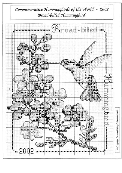 Gallery Ru Hummingbird Series Risau