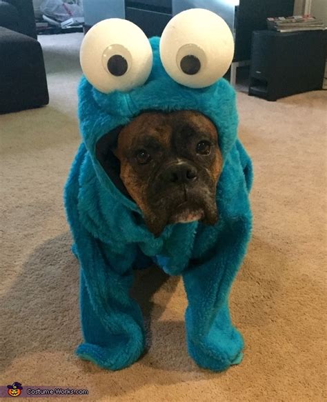 Cookie Monster Dog Costume