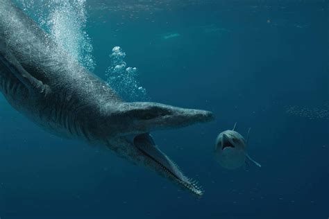 Massive pliosaur skull sheds light on ancient sea reptile | New Scientist