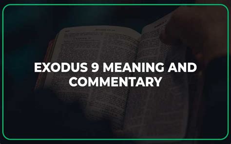 Exodus 9 Meaning and Commentary - Scripture Savvy