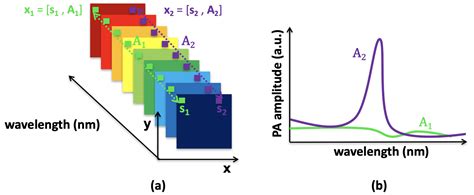 Sensors Free Full Text In Vitro And In Vivo Multispectral