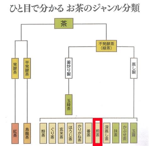 お茶の全体図：『ウーロン茶や紅茶との比較』『茶ではない茶』 翠香園 静岡県牧之原市 茶問屋