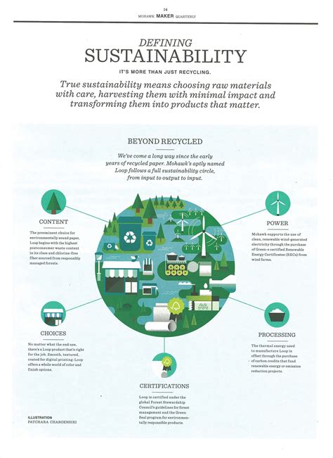 Defining Sustainability Infographic