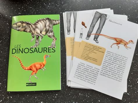 Mon Coffret Montessori Dinosaures Maman Fouine