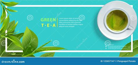 Vector Green Tea Horizontal Banner Blue Tea Leaves And Drops On Stock