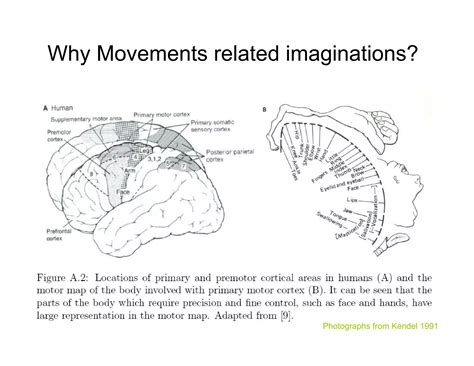Brain-Computer Interfaces | PDF