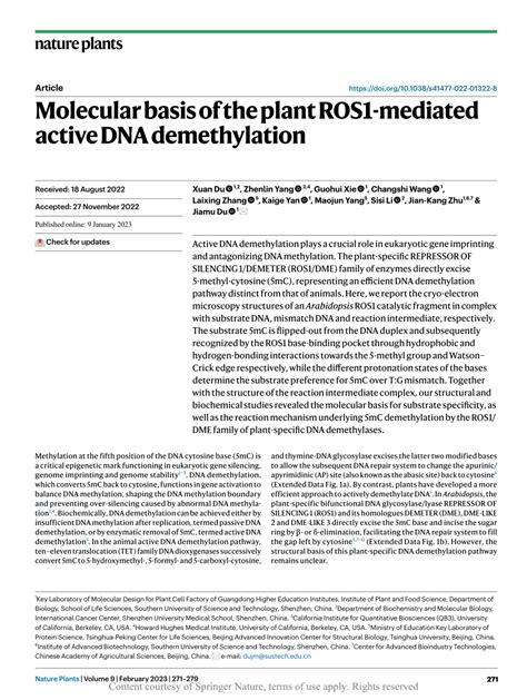 Molecular Basis Of The Plant Ros1 Mediated Active Dna Demethylation