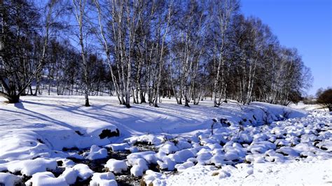 Hebei Series Episode Wetland In The Snow Cgtn