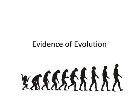 Evidence of evolution biology