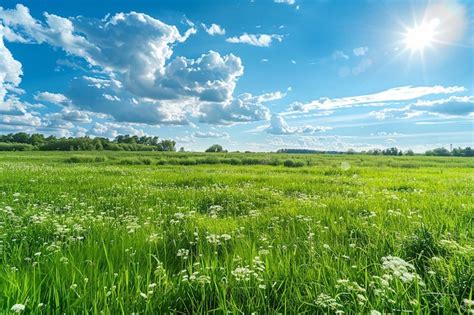 Landscape View Of Green Grass Field With Blue Skybackground Premium