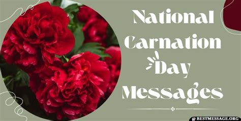 National Carnation Day Quotes And Messages