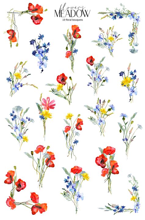 Watercolor Meadow Flowers By Elena Dorosh Thehungryjpeg