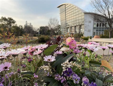 ブルーボネットラストイヤー 名古屋の青い空の下 風の吹くまま 気の向くまま