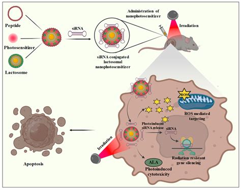 Bioengineering Free Full Text Recent Advances In Nanomaterials Based Targeted Drug Delivery