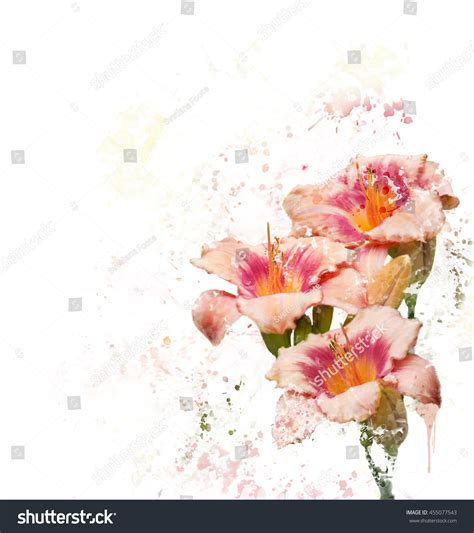 Digital Painting Of Day-Lily Blossoms Stock Photo 455077543 : Shutterstock