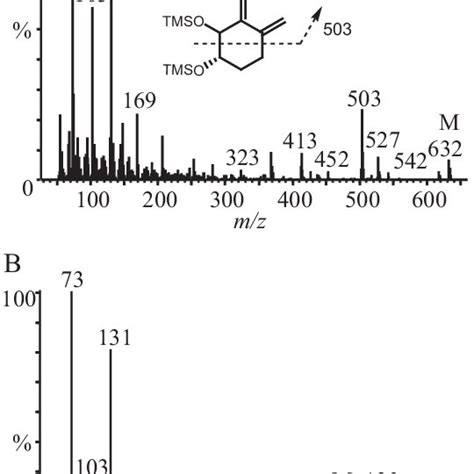 Electron Impact Mass Spectra Of The Trimethylsilyl Ether TMSO