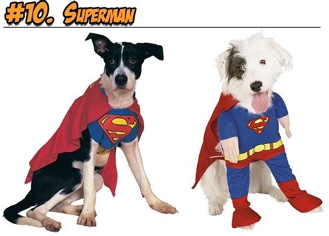 10 Completely Insane Super-Hero Halloween Costumes... For Your Dog