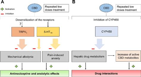 A Cannabidiol Repeated Treatment Induces An Antinociceptive And