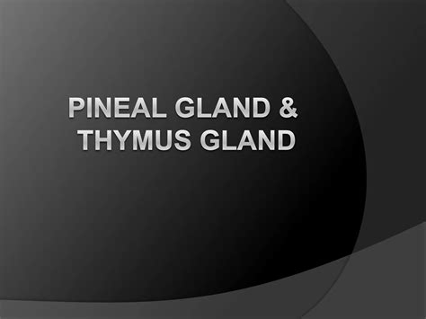 Pineal Gland Ppt