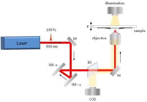 Scheme Of The Experimental Setup Employed For The Two Photon Absorption