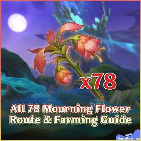 V36 All 78 Mourning Flowers Route And Farming Guide Kaveh Ascension