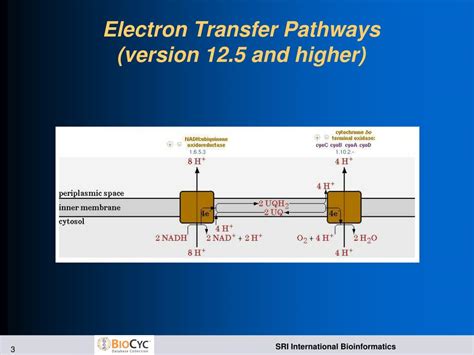 Ppt Electron Transfer Reactions And Pathways Powerpoint Presentation