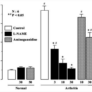 Effects Of L Name And Aminoguanidine On Indomethacin Induced Gastric