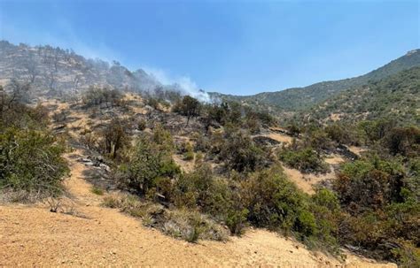 Controlan Incendio Forestal Que Afectaba La Zona De Requínoa Consumió