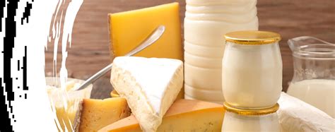 Premium Wholesale Dairy Products | Dandy Foods