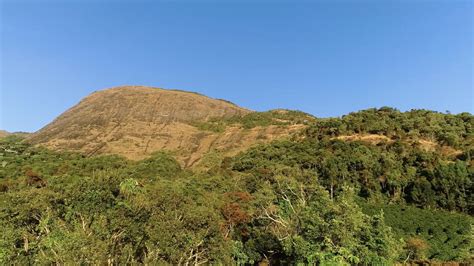 Mata Atlantica Em Minas Gerais - Minas Gerais lidera mais uma vez o desmatamento da Mata Atlântica ...