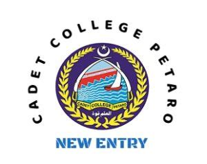 Cadet College Petaro Result 2024 Check Online