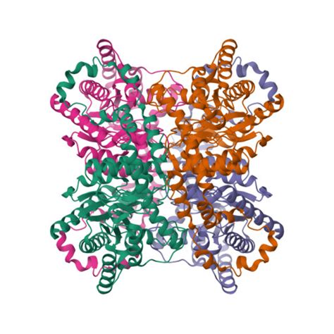 RCSB PDB 3KBW Room Temperature X Ray Mixed Metal Structure Of D