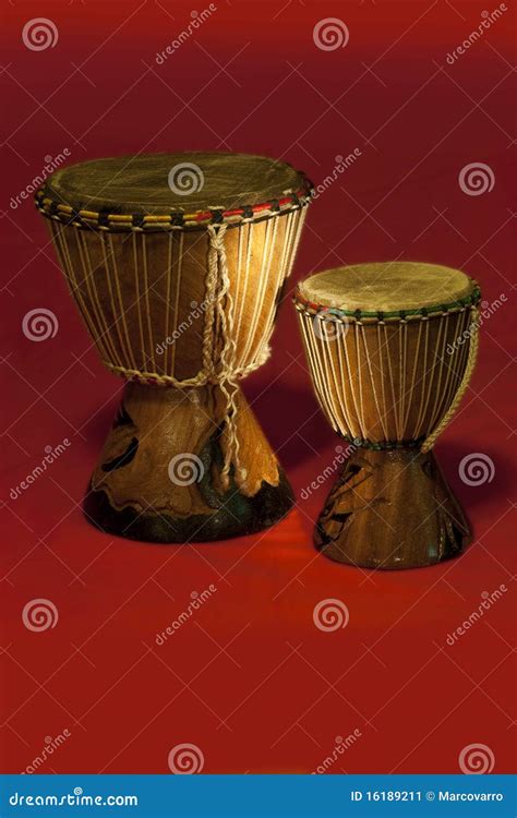 African Bongos Stock Photography 25769714