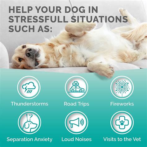 Premium Care Hemp Calming Chews for Dogs | Made in USA | 120 Count Duck Flavor - Anxiety Relief