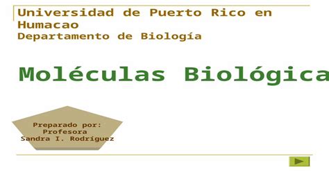 Ppt Moléculas Biológicas Preparado Por Profesora Sandra I Rodríguez Universidad De Puerto